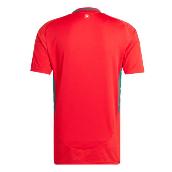 CAMISETA PAIS DE GALES I EURO 2024 HOMBRE