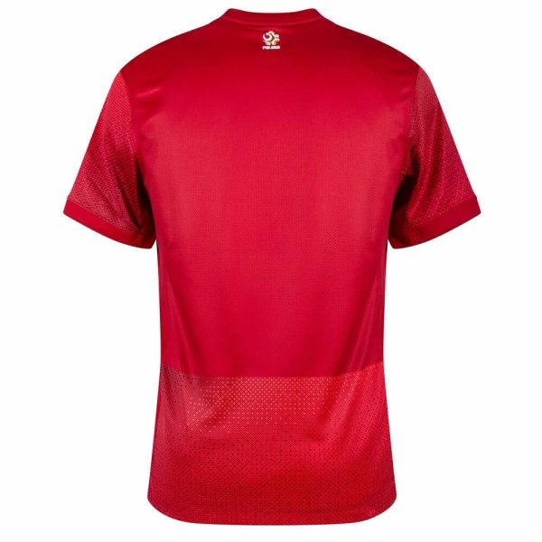 CAMISETA POLONIA II EURO 2024 HOMBRE